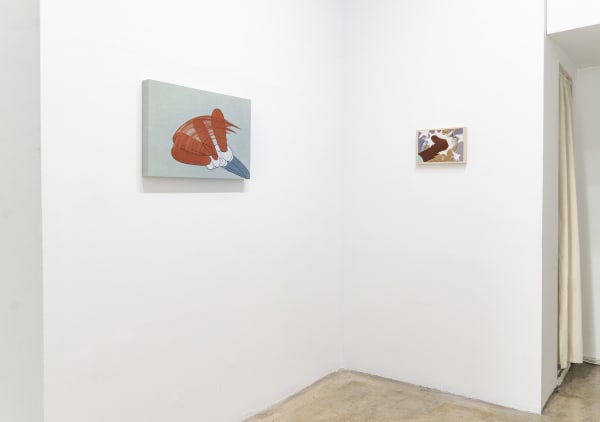 Peter Frederiksen Massey Klein Gallery Even A Worm Will Turn Install 7