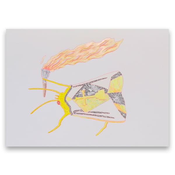 Joshua Drayzen: Spirit Wave