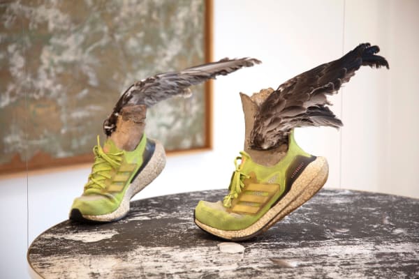 D479D77A Dc77 4Ed0 B551 8180B9D6F961