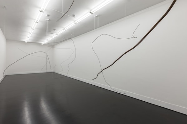 Hernandez Hurricanes 003