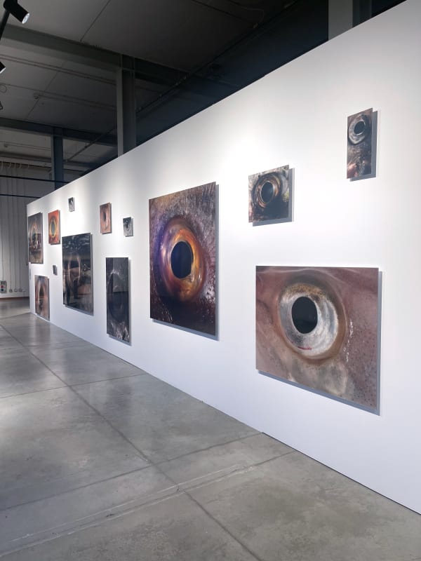 BIENALSUR 2025: Bruna Esposito