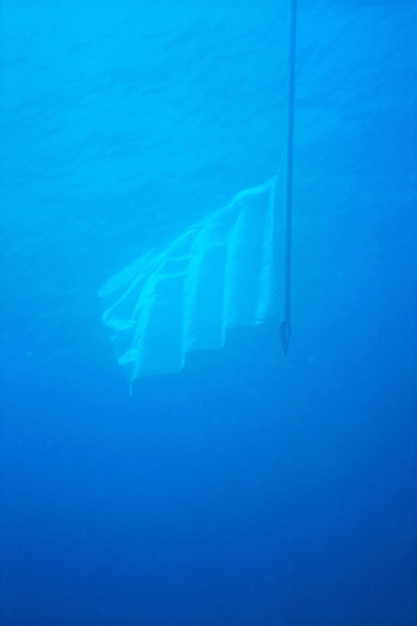 WIZARD at ZONA MACO 2026