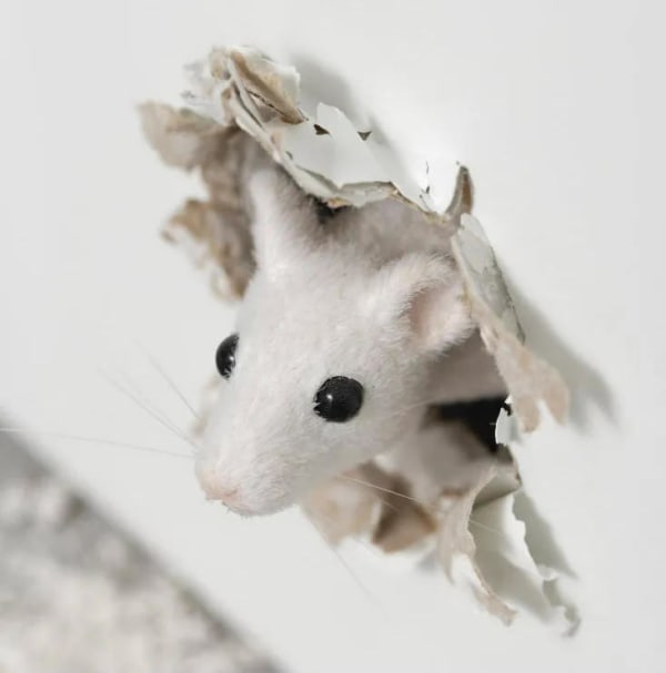 IN-SITU works, Pinault Collection