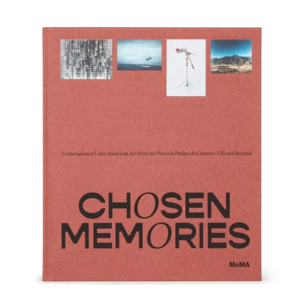 Chosen Memories: Contemporary Latin American Art from the Patricia Phelps de Cisneros Gift and Beyond 