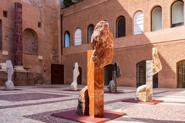 Mattia Bosco. Parco Archeologico del Colosseo