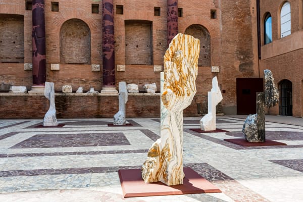 Mattia Bosco. Parco Archeologico del Colosseo