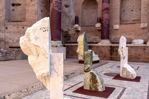 Mattia Bosco. Parco Archeologico del Colosseo