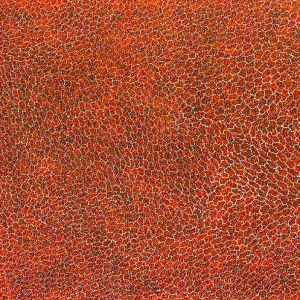 Cindy Morton - Bush Plum Dreaming by Cindy Morton, 2021