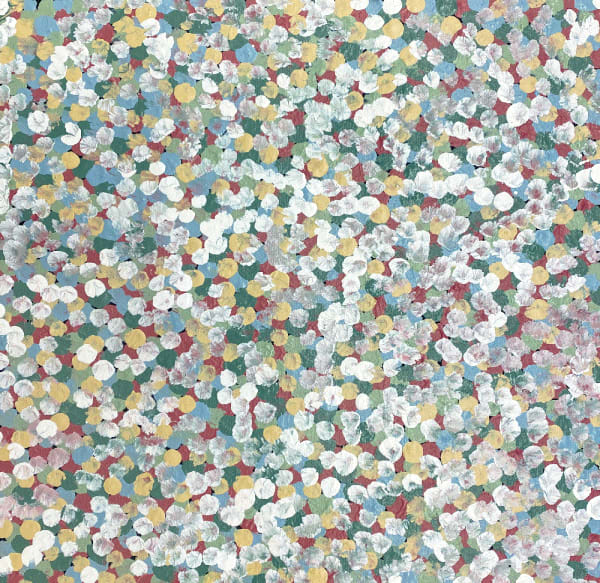 Bessie Pitjara - Bush Plum Dreaming by Bessie Pitjara, 2024