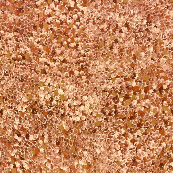 Kate Pitjara - Bush Plum Dreaming by Kate Pitjara, 2025