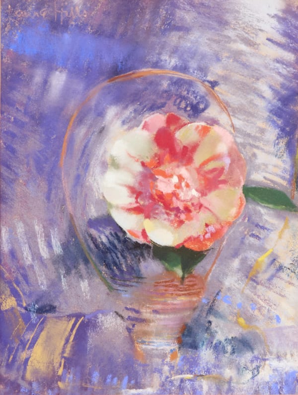 Laura Coombs Hills - Red and White Camelia
