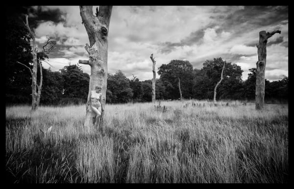 Eamonn Farrell, Field of Dreams, 2013