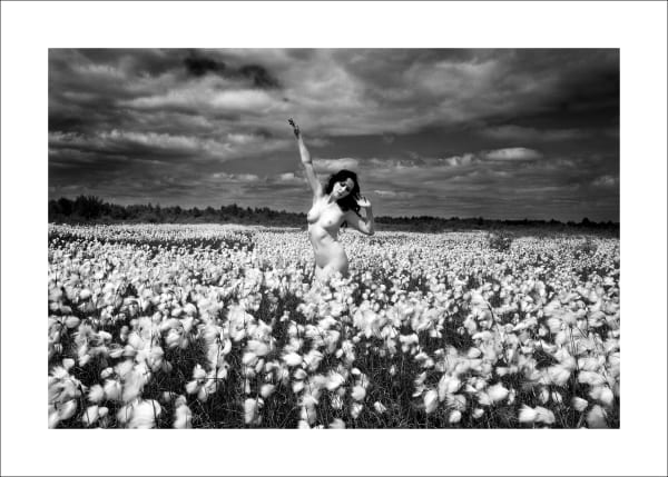 Eamonn Farrell, A Natural Beauty, 2010
