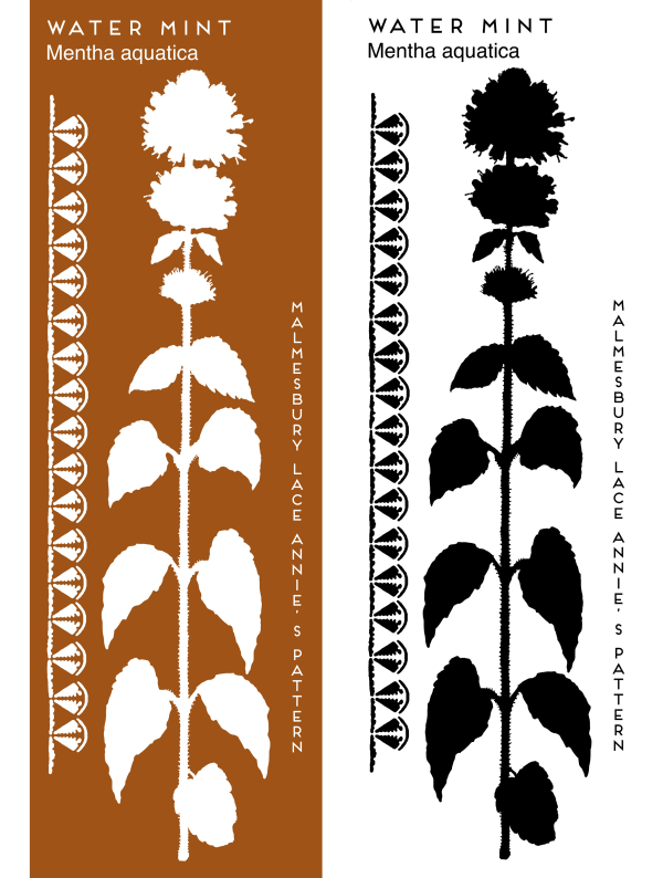 Copy Of Copy Of Copy Of Bb Watermint