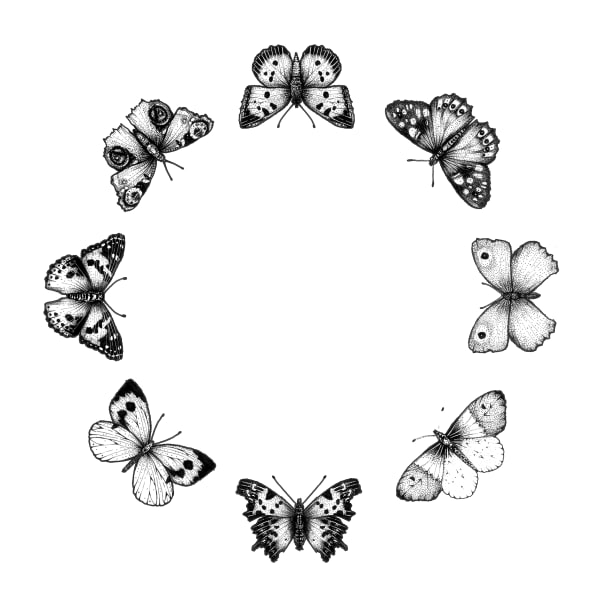 Circular Butterlies