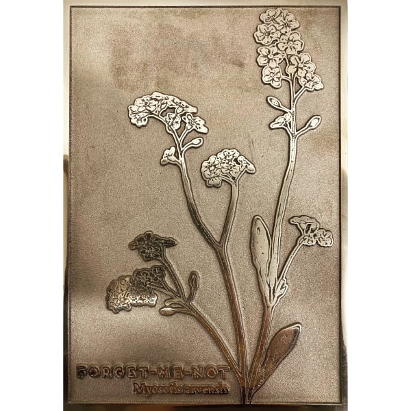 04E2C4A4 2C32 480E B415 Be6F376Ec1Bb