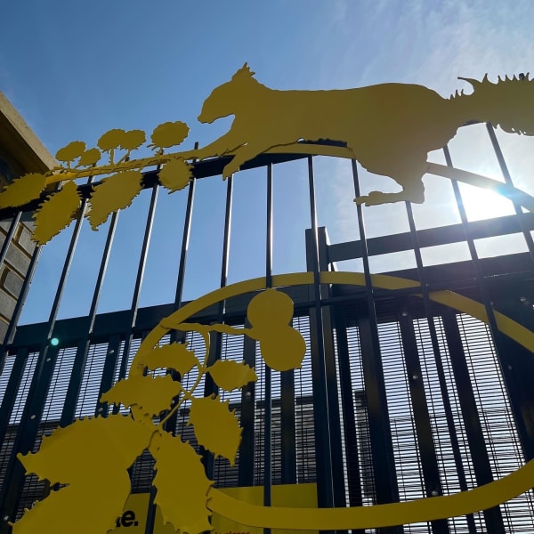 36F6A7D1 Bd2C 4764 A06C 8D82Cb2Db1Ca