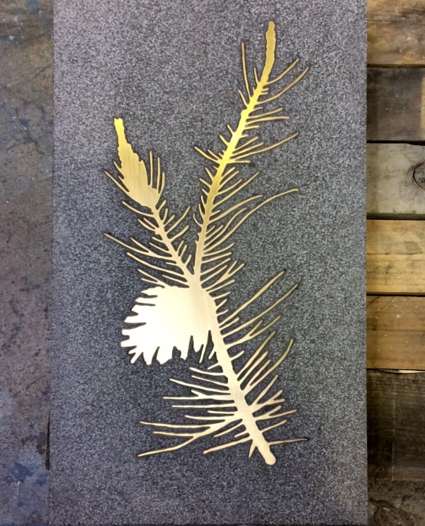 Scots Pine