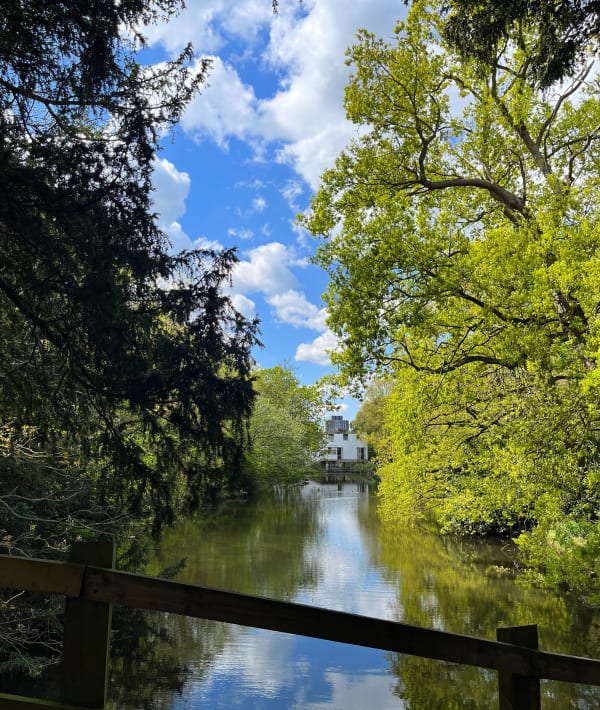 0C70E637 Fce4 4Ca9 B476 63Dc39B58Af6