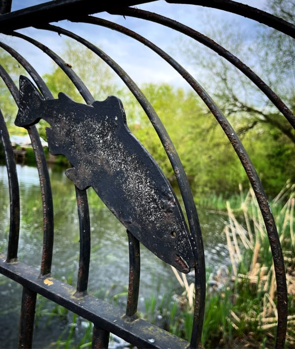 31Fd9594 9043 4A1B 9799 23E80Fc82532