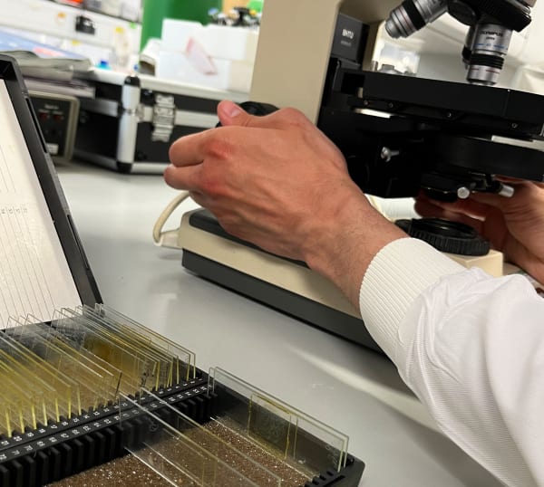 76907Fef 999C 4167 A769 0F849F20A1Cb