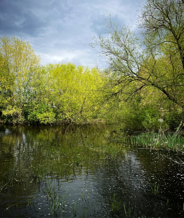 E587E7C1 1Db6 43Ea A8E1 75Cd48D32B8C