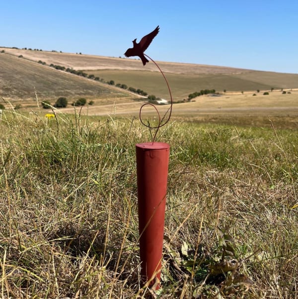 B9Ecb263 1B43 4E62 97E3 5486633A46A5