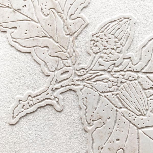 0Fd13F68 F4Fd 4A70 Ad6F 3A40E5B32545 2