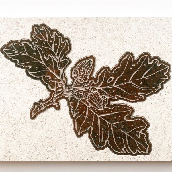 Ab8F3D26 46D7 49C6 Ad90 Ecbc61E6Ab58 2