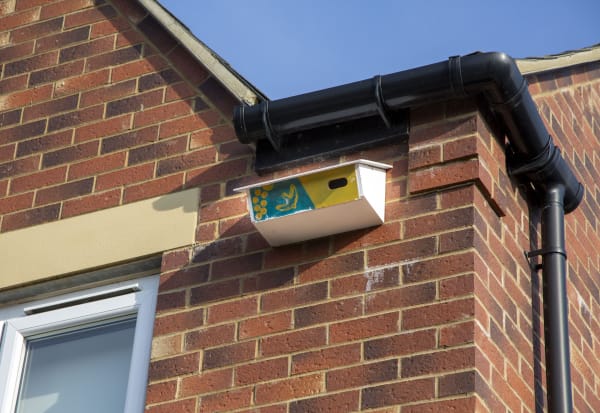 20250218 Ebp Kl Swiftly Rubbings 0052 1169