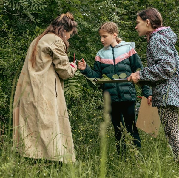 38367944 70Fb 4156 A776 D3D7700C7Bcd