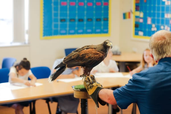 Gij Bellway Birds 25