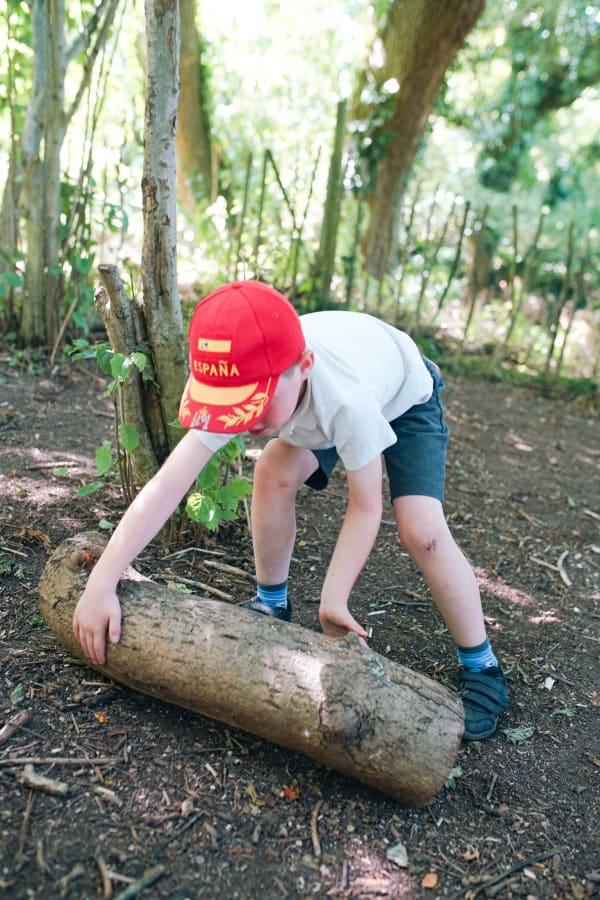 Gij Bellway Birds 64 1