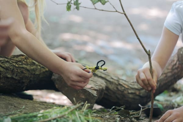 Gij Bellway Birds 83