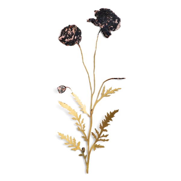 Trembleuse Brass, paint, varnish 490mm x 240mm