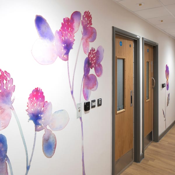 Hospital Projects