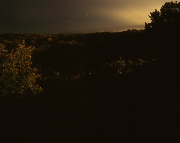 Misha de Ridder, Lindenheuvel, 2009