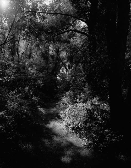 Misha de Ridder, Untitled I , 2009