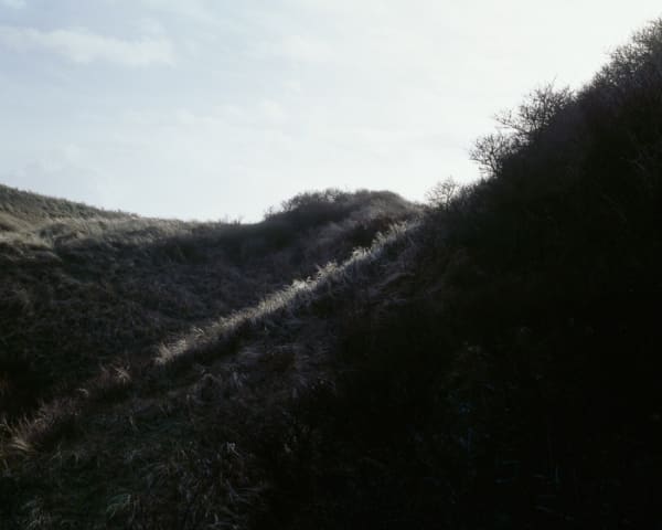 Misha de Ridder, Hazenwei, 2011