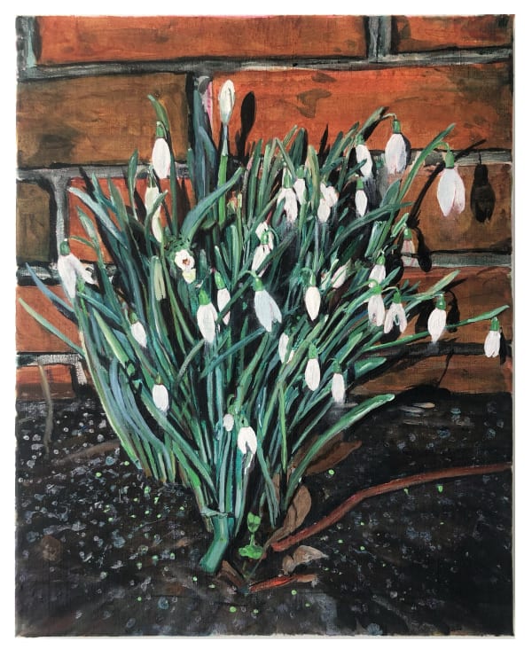 Arjan van Helmond, Snowdrops #1, 2022