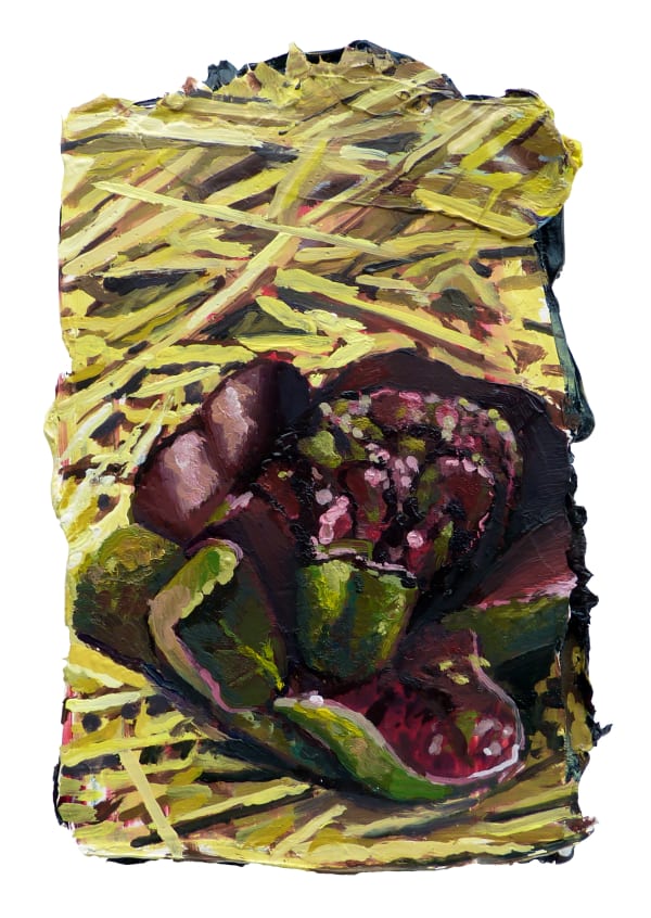 Mathieu Cherkit, Lactuca sativa, 2021