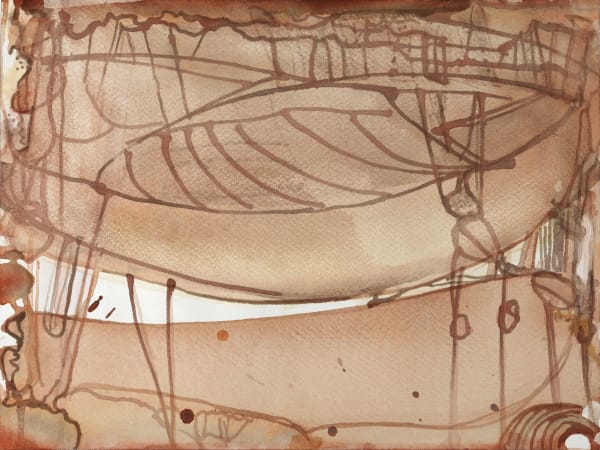 Bettie van Haaster, zeppelin, 2013