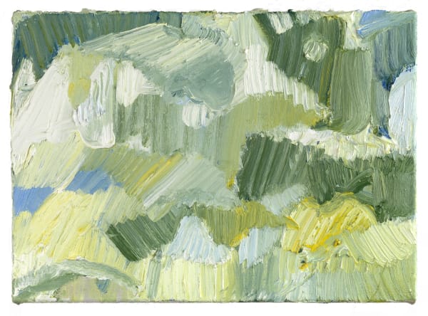 Bettie van Haaster, vogels (birds), 2018