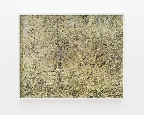 Misha de Ridder, 30 March 13:11, 2021