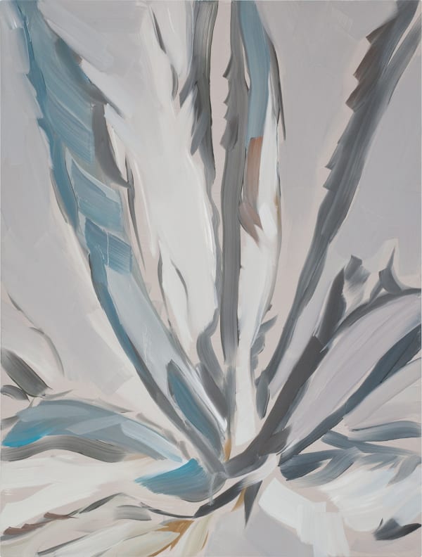 Marjolein Rothman, Agave II, 2019