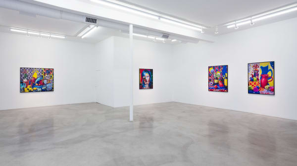 Installation view of Daniel Gordon: The Green Line at M+B, 2013
