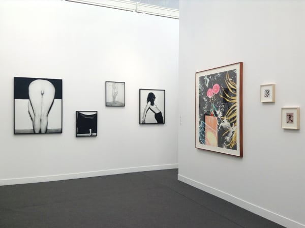 Installation view of Matthew Brandt, Ellen Carey, Jessica Eaton, Whitney Hubbs and Matthew Porter at Paris Photo, 2015