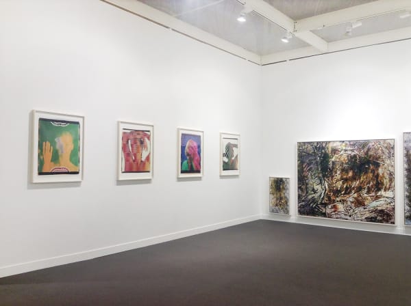 Installation view of Matthew Brandt, Ellen Carey, Jessica Eaton, Whitney Hubbs and Matthew Porter at Paris Photo, 2015