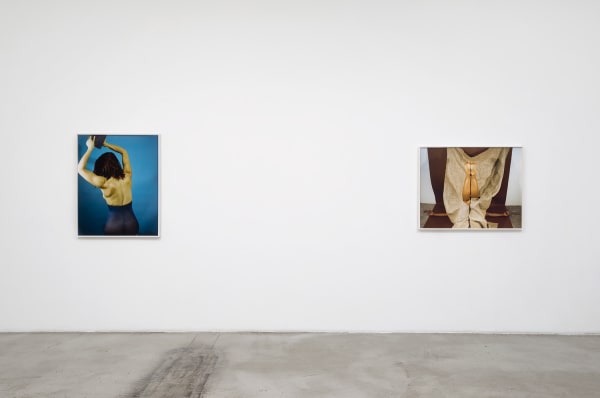 Installation view of Whitney Hubbs: Body Doubles at M+B, 2016