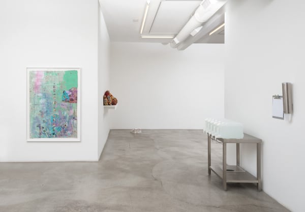 Installation view of PLEASE HAVE ENOUGH ACID IN THE DISH! at M+B, 2016